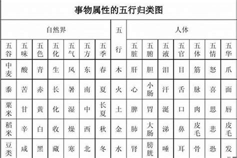 尚五行|尚字的五行属性